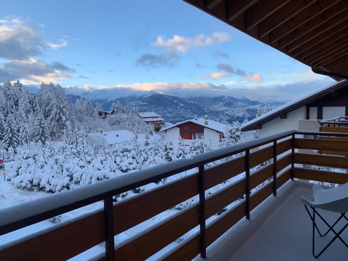 La Jacinthe De Crans Crans-Montana Exterior foto