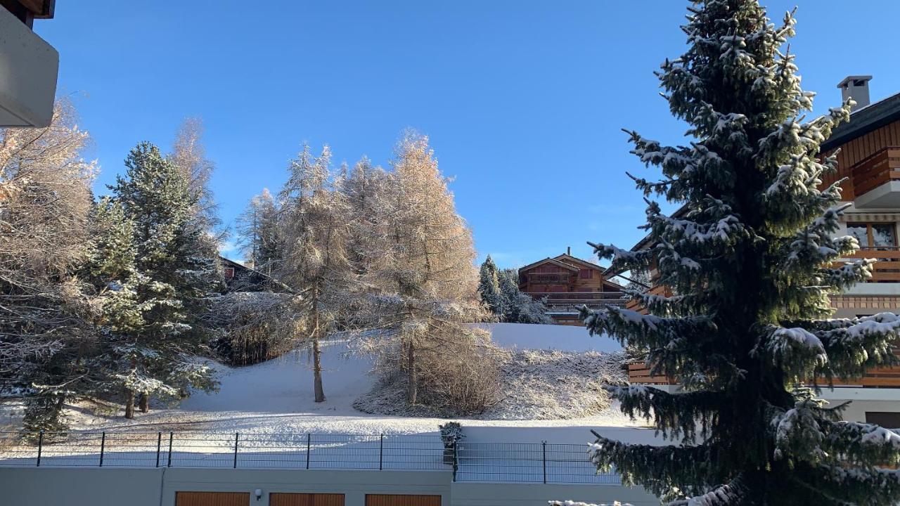 La Jacinthe De Crans Crans-Montana Exterior foto